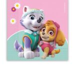 Χαρτοπετσέτες 2ply 33x33cm Paw Patrol - Skye & Everest (20τμχ)
