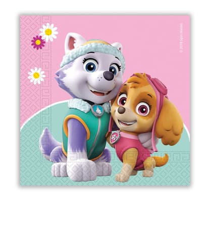 Χαρτοπετσέτες 2ply 33x33cm Paw Patrol - Skye & Everest (20τμχ)