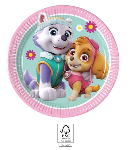 Χάρτινα πιάτα 20cm Paw Patrol - Skye & Everest (8τμχ)