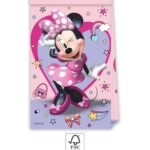 Χάρτινες τσάντες δώρων Minnie Junior (4τμχ)