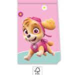 Χάρτινες τσάντες δώρων Paw Patrol - Skye & Everest (4τμχ)