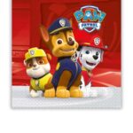 Χαρτοπετσέτες 2ply 33x33cm Paw Patrol - Ready For Action (20τμχ) 089777