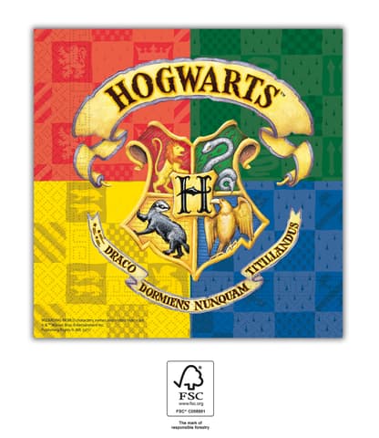 Χαρτοπετσέτες 2ply 33x33cm Harry Potter  (20τμχ) 093366