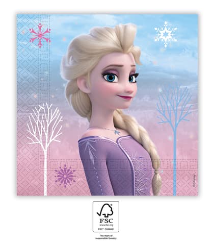 Χαρτοπετσέτες 2ply 33x33cm Frozen II Wind Spirit (20τμχ)