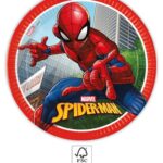 Χάρτινα πιάτα 23cm Spiderman (8τμχ)