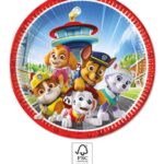Χάρτινα πιάτα 23cm Paw Patrol Rescue Heroes (8τμχ)