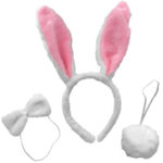 Αποκριάτικα Αξεσουάρ Λαγουδάκι (3τεμ)