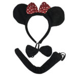 Αποκριάτικα Αξεσουάρ Ποντικίνα (3τεμ)